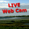 Live Web Cam [QVISTO Inc. Live Web Imaging Solutions]